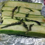 fire pit zucchini